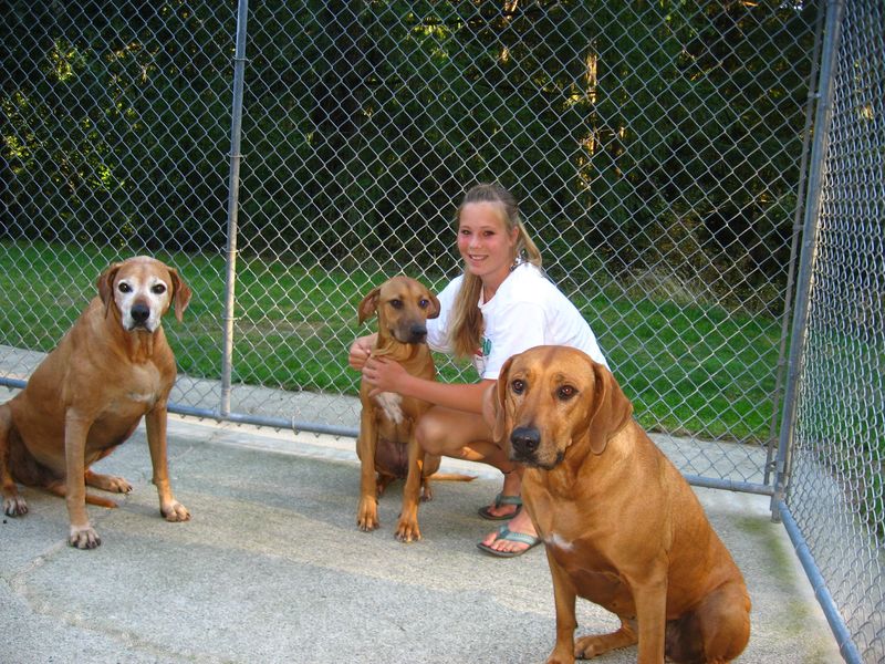 37Ridgebacks